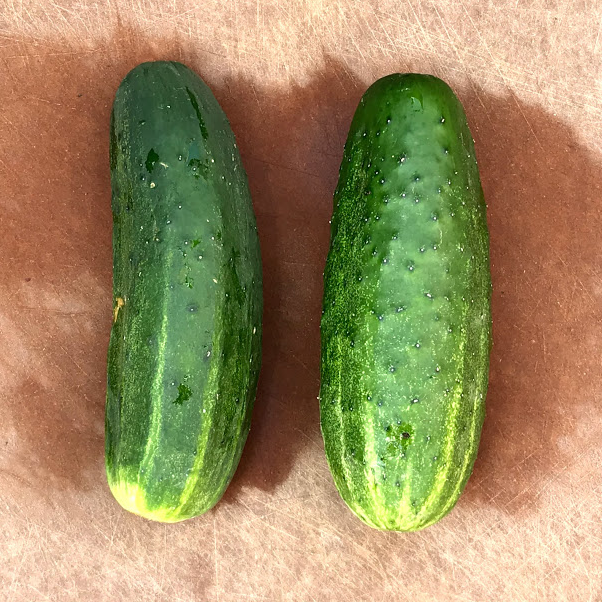 PICKLE CUCUMBER VS. OUR GHERKINS