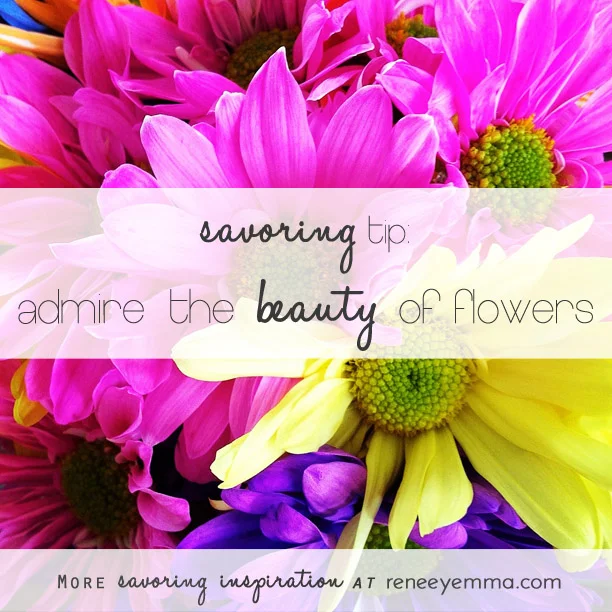 Savoring Tip | Admire the Beauty of Flowers