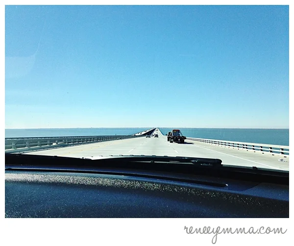 Weekend Savors | Ocean Fun, A Curious Boy + Lots of Color