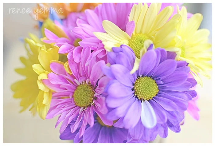 {Simple Things Sunday} COLORful Flowers