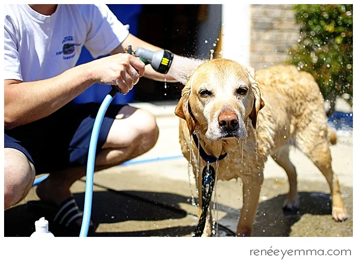 {Photo of the Day} Doggie Bath