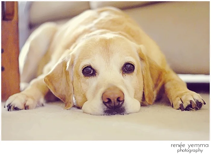 {Photo of the Day} First Baby