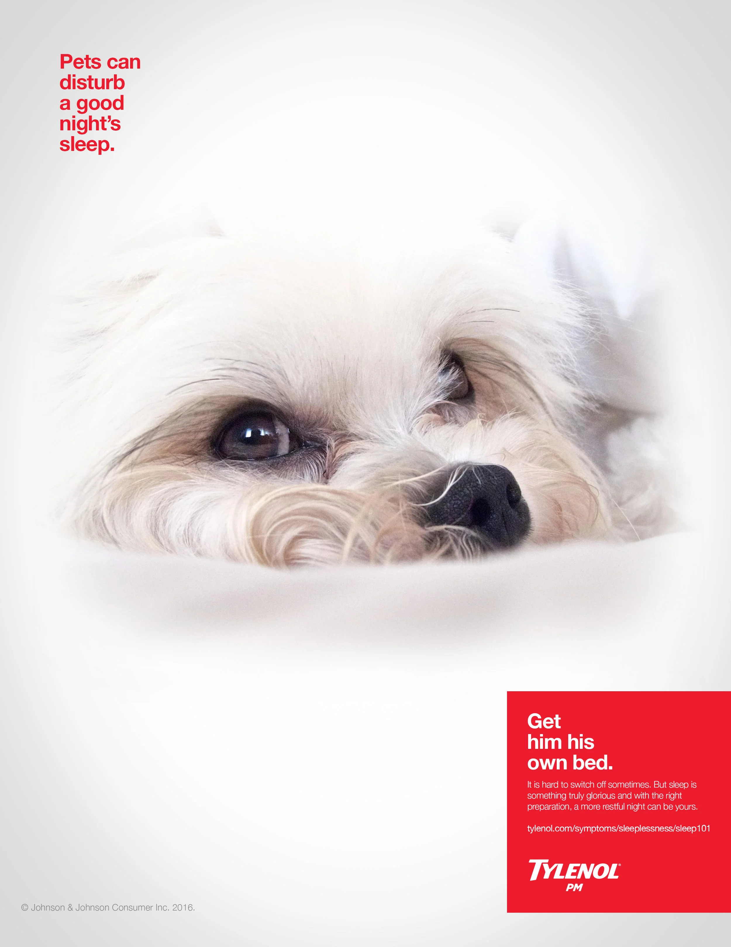 can dogs have tylenol pm