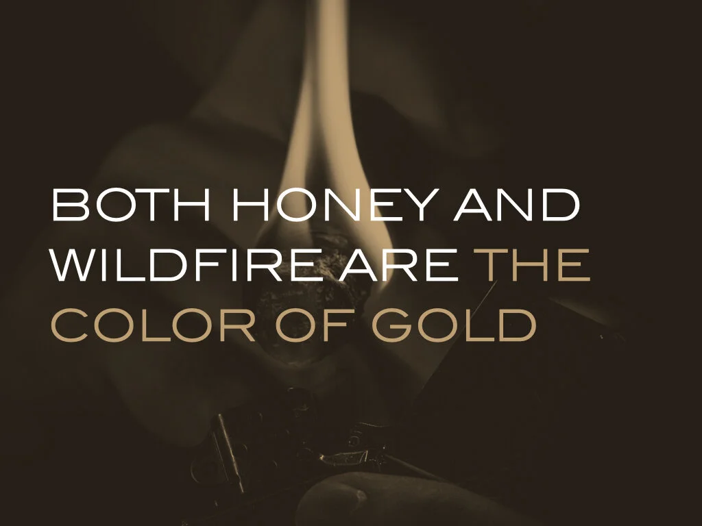 DAF Brand Book copy.013.jpeg