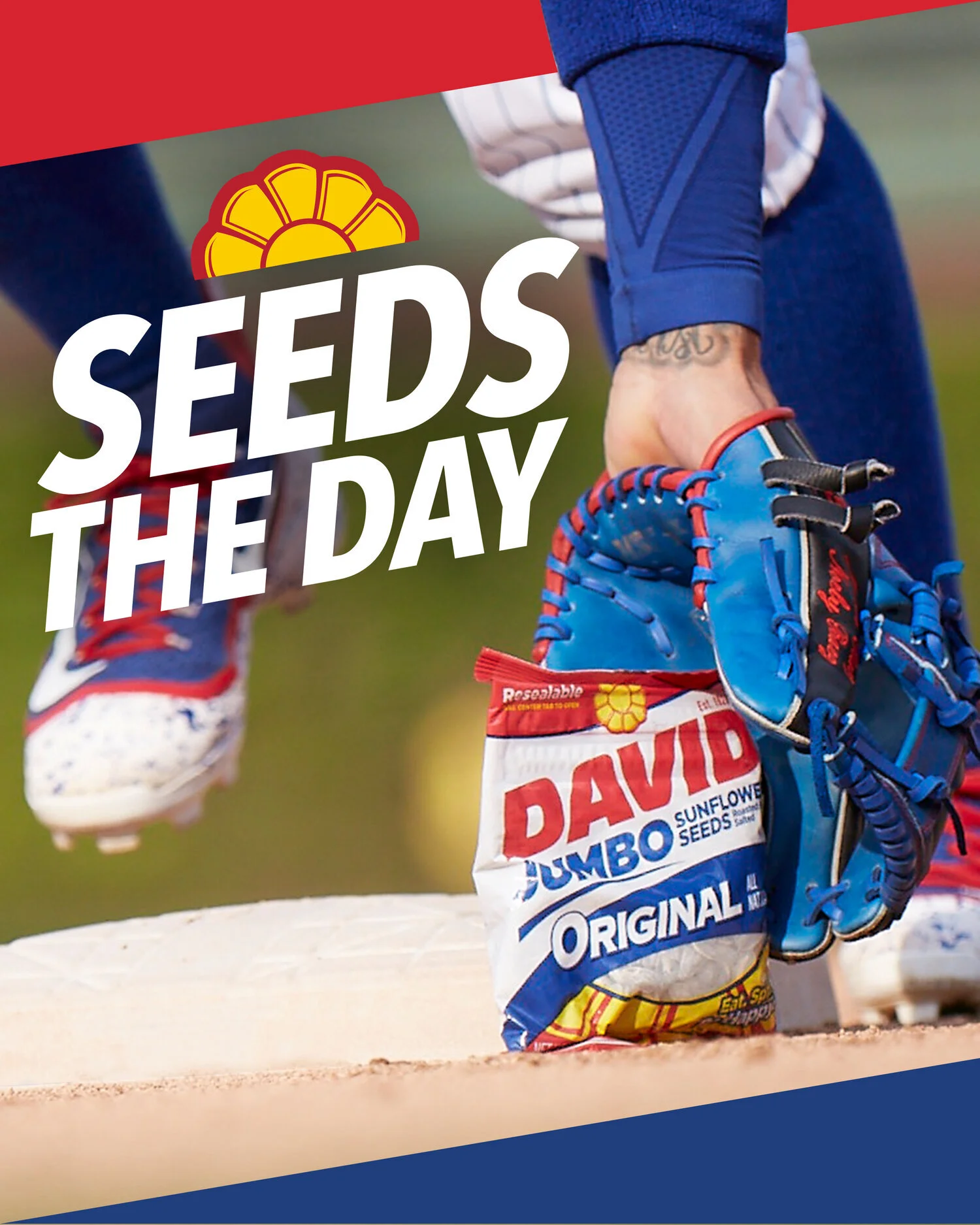 Seeds-the-Day.jpg