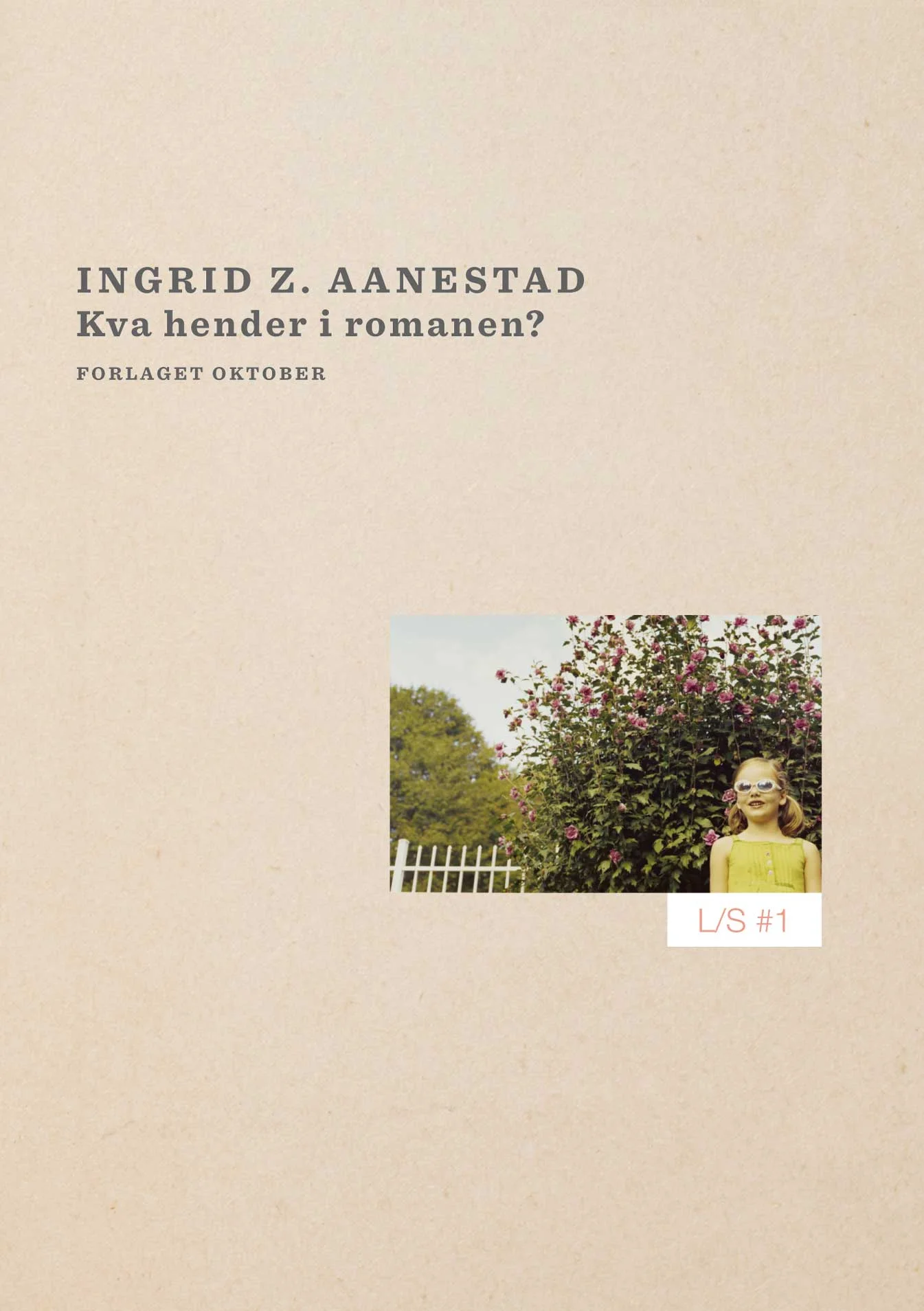 Aanestad.-Kva-hender-i-romanen-(hft).jpg