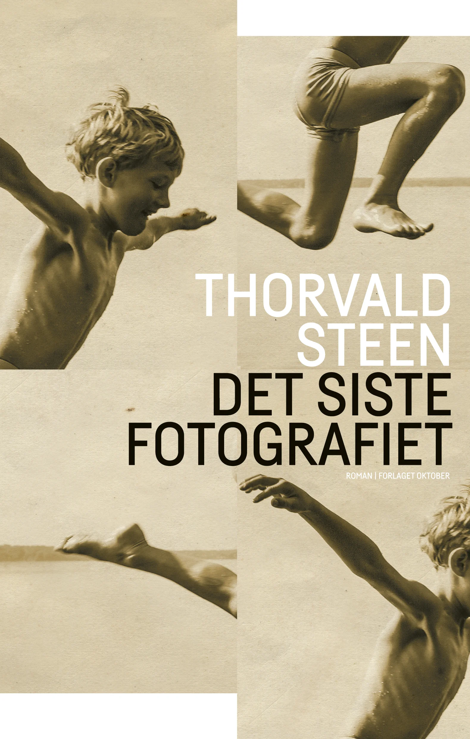 Steen. Det siste fotoghrafiet (Ib).jpg