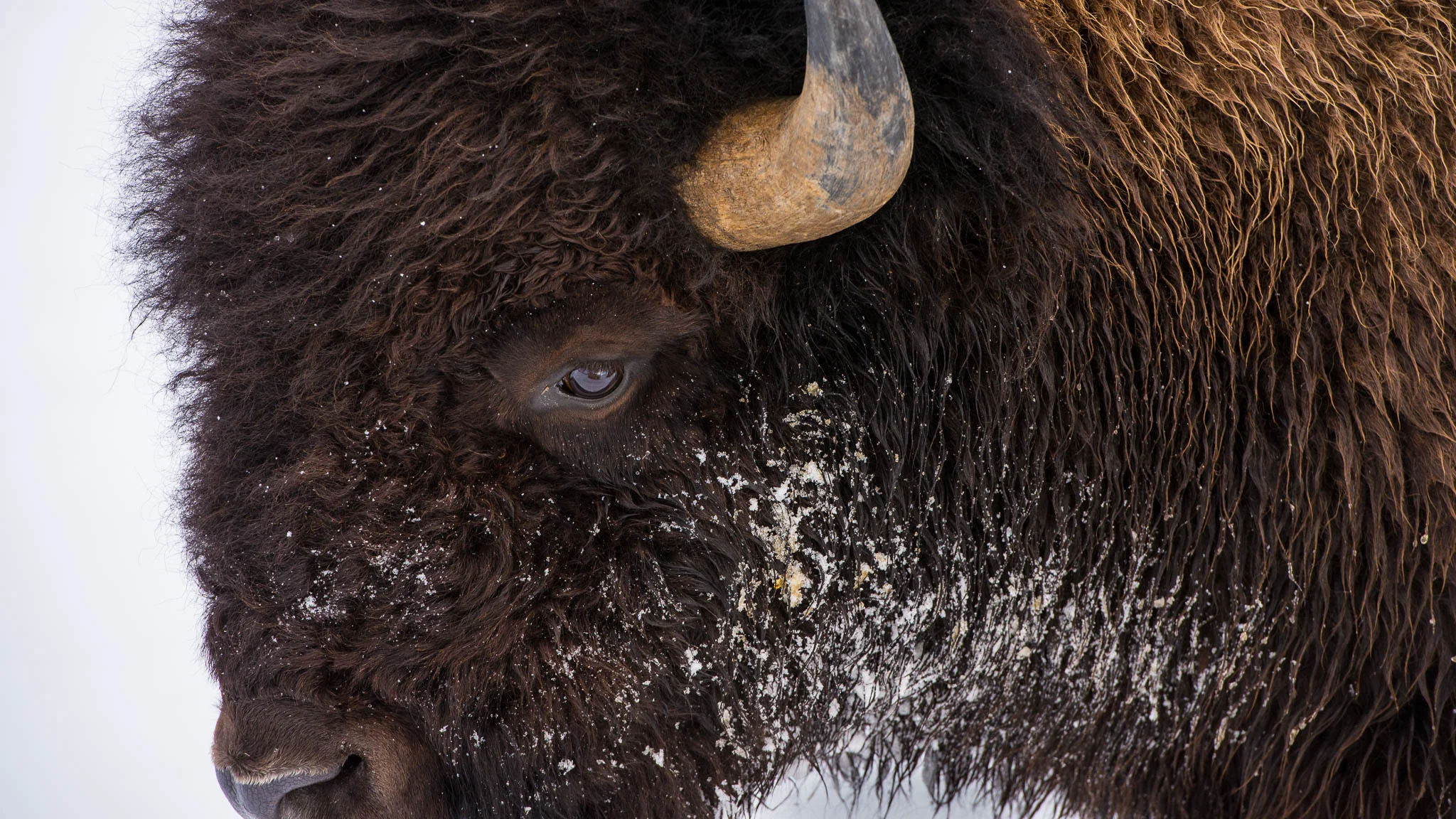 DSC_0140.jpg