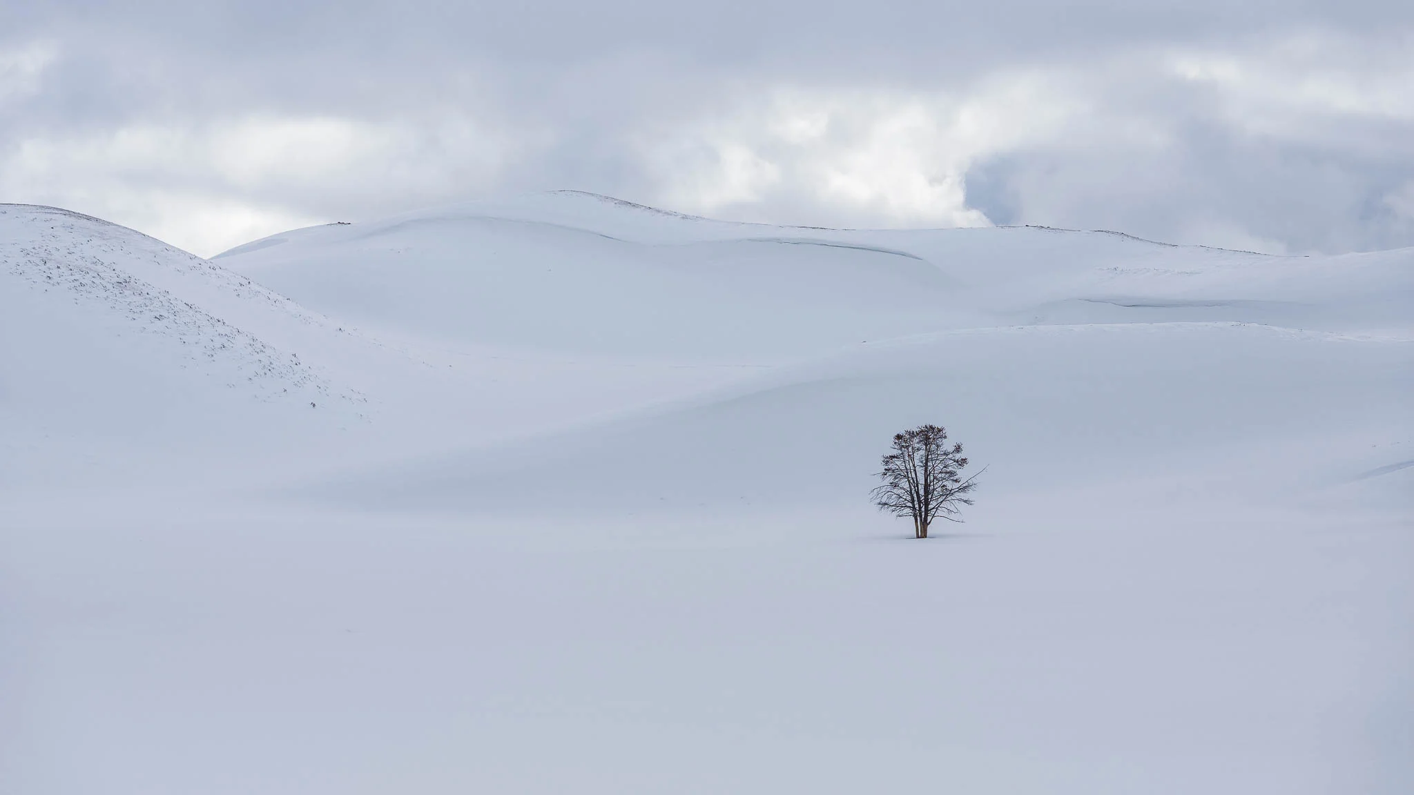 DSC_0147.jpg