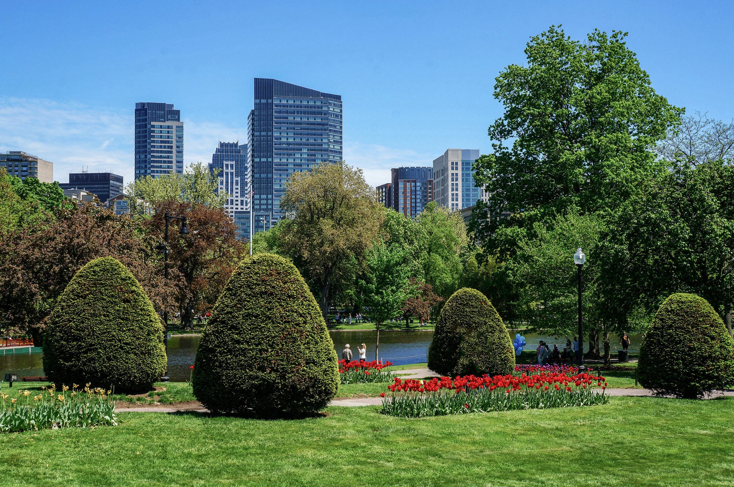 Enjoying Spring in Boston’s Public Garden