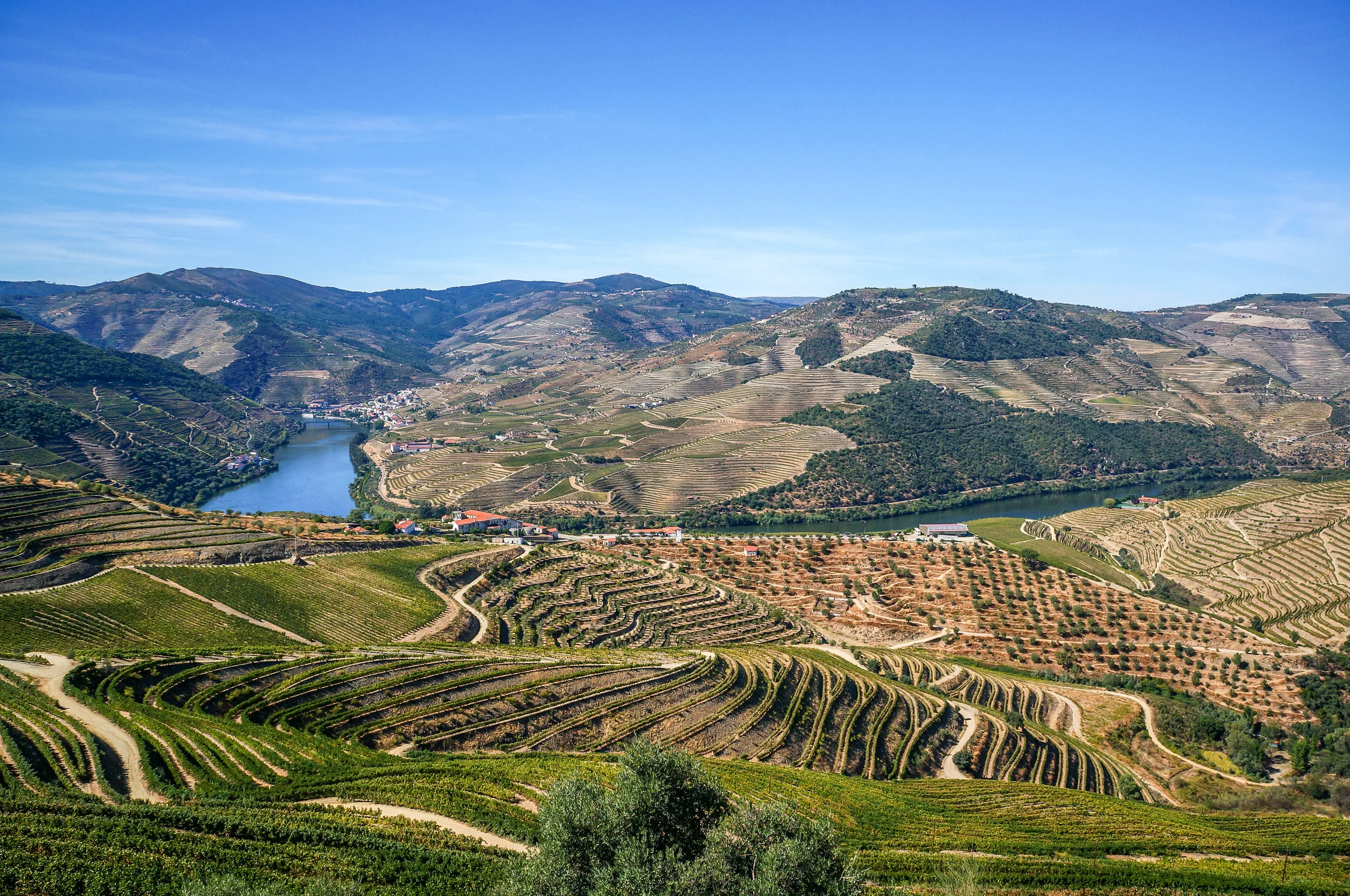 Driving Across the Landscapes, Wineries and Villages of the Douro Valley