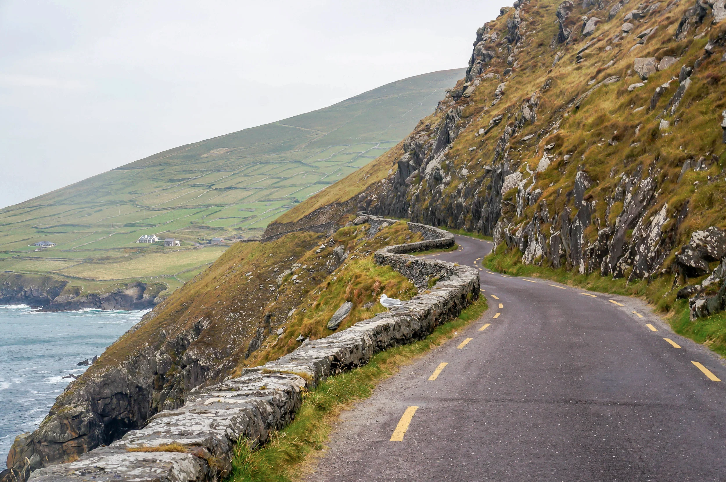 Dingle Peninsula Loop: A Guide to Driving the Slea Head Drive