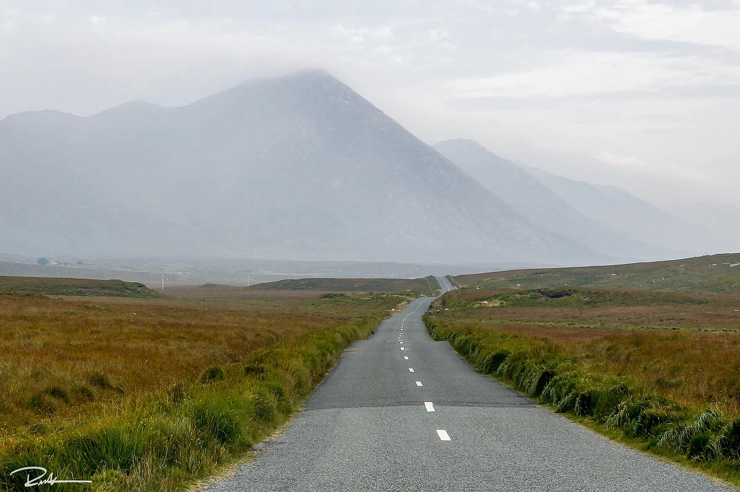 Roadway LR 2.5 LR SIGNATURE small.jpg