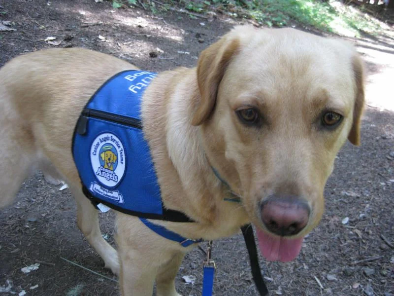 Camp McDowell's new certified Facility Dog, Dolly.