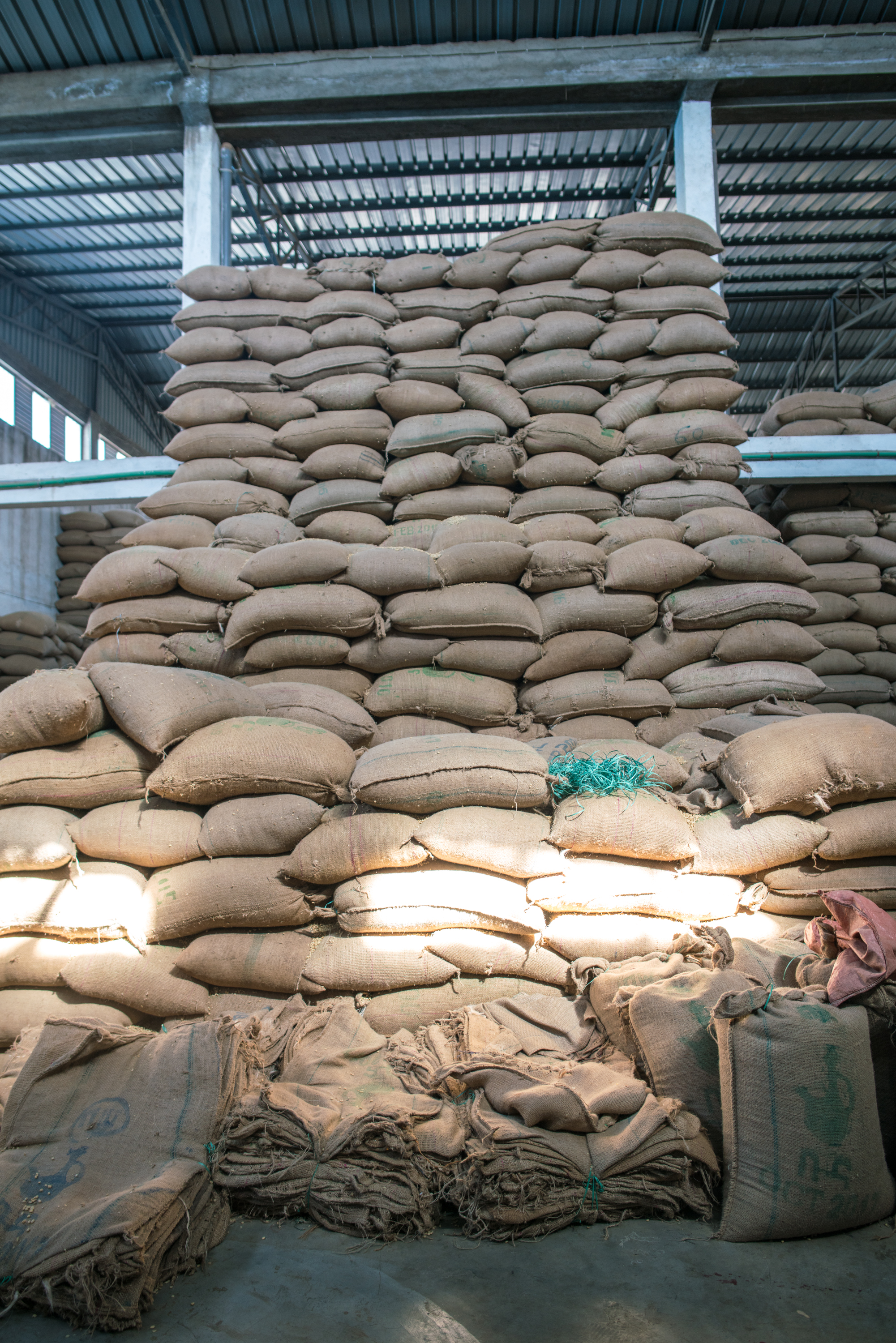 Processed Beans Stacked In Bags (Copy)