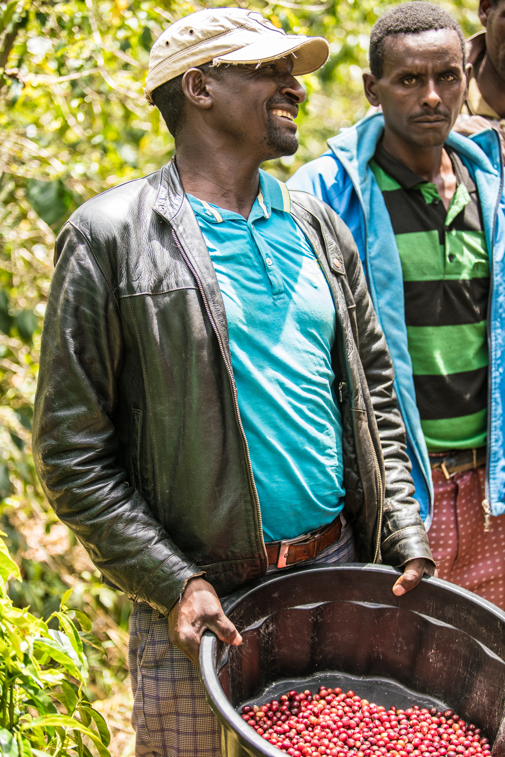 Farmer Showing Off His Ripe Cherries (Copy)