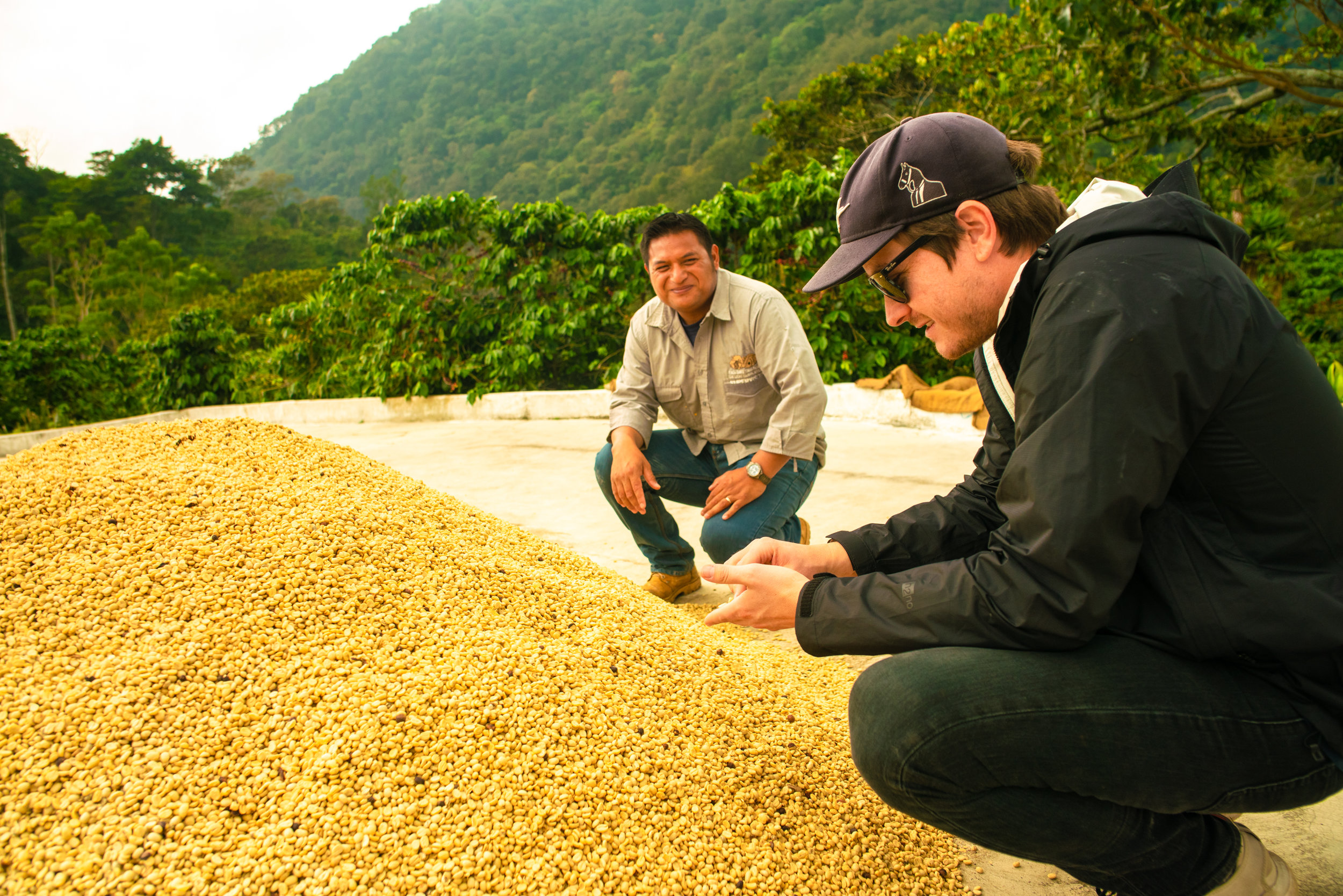 Bryan Looking At Dry Beans (Copy)