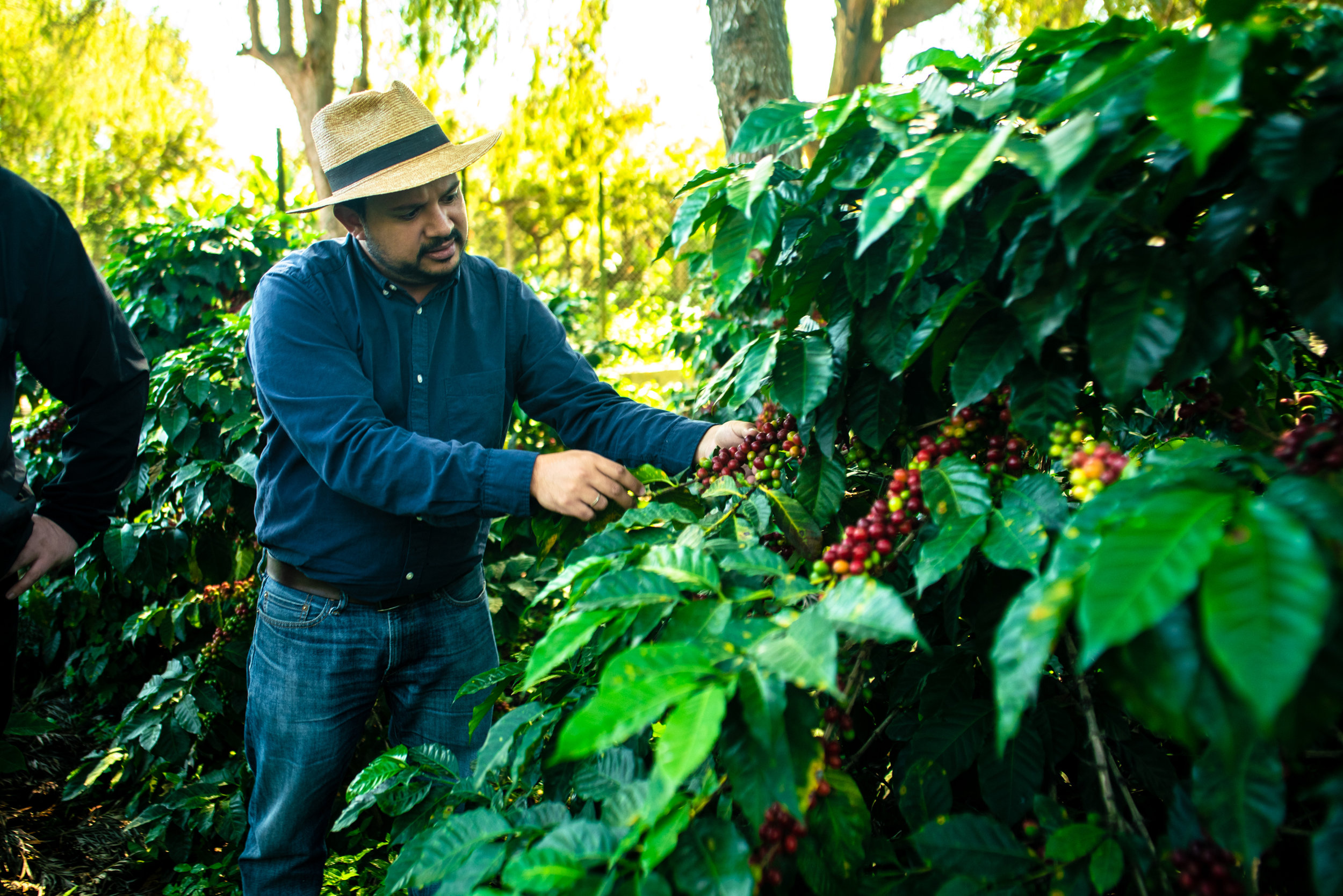 Josue Showing Off Ripe Cherry (Copy)