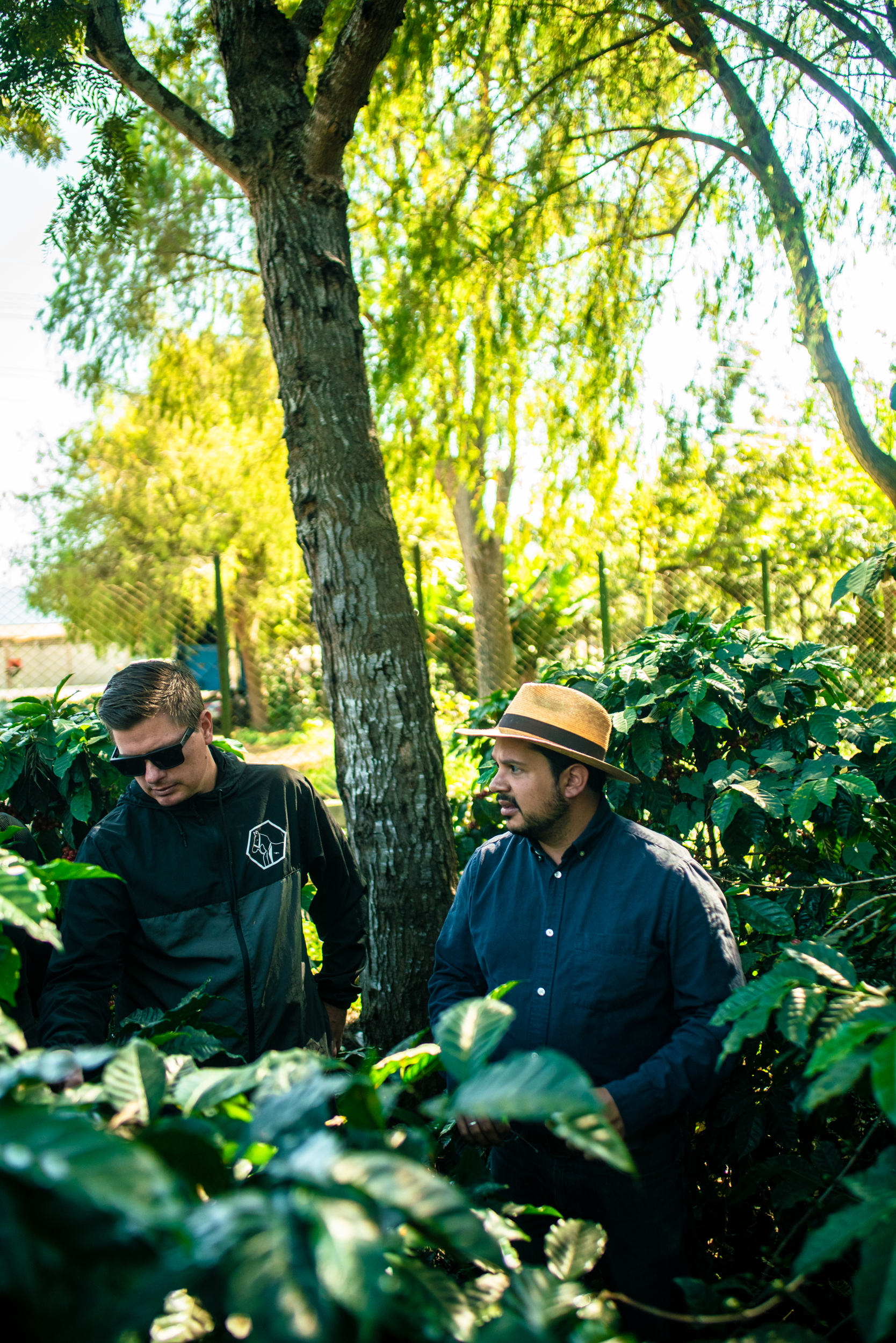 Daniel And Josue Lurking About Farm (Copy)