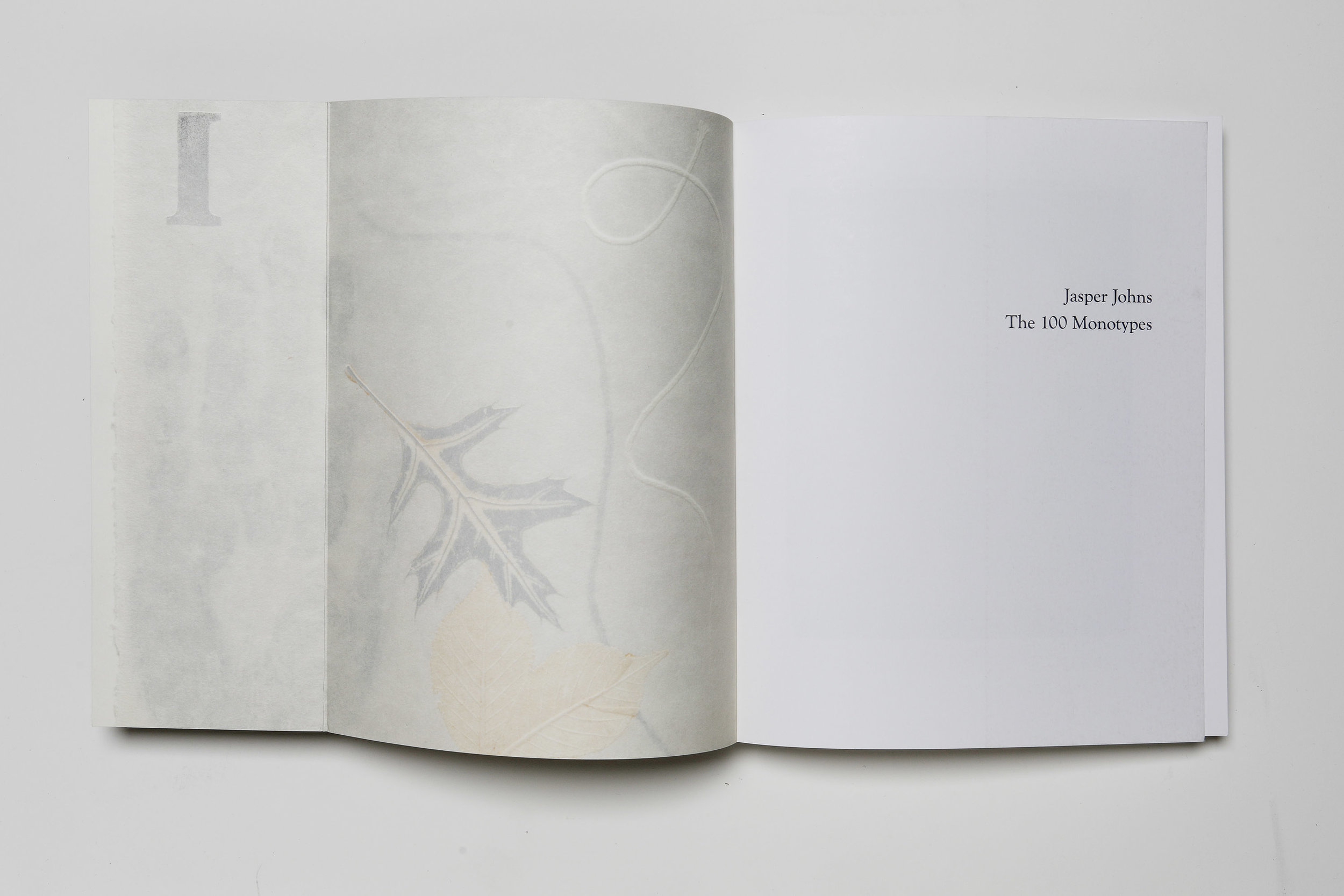  Jasper Johns: The 100 Monotypes, Softcover, front interior flap 