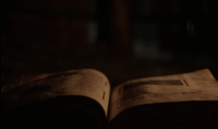 Wouldst thou like to see the world ? (The Witch 2015)