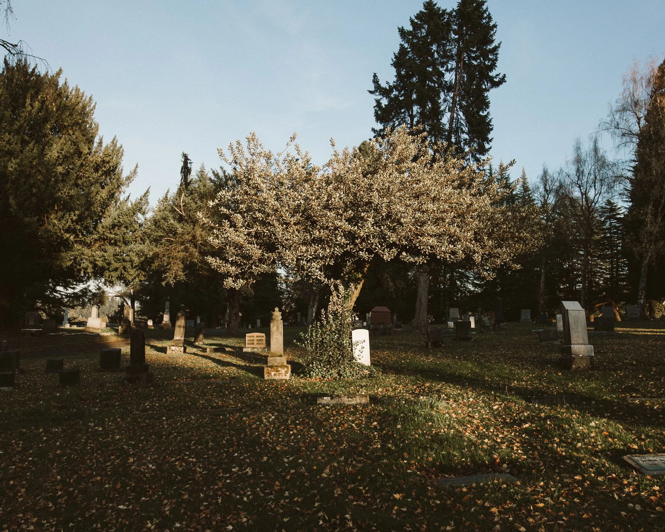 Woodbine Cemetery, Puyallup WA
