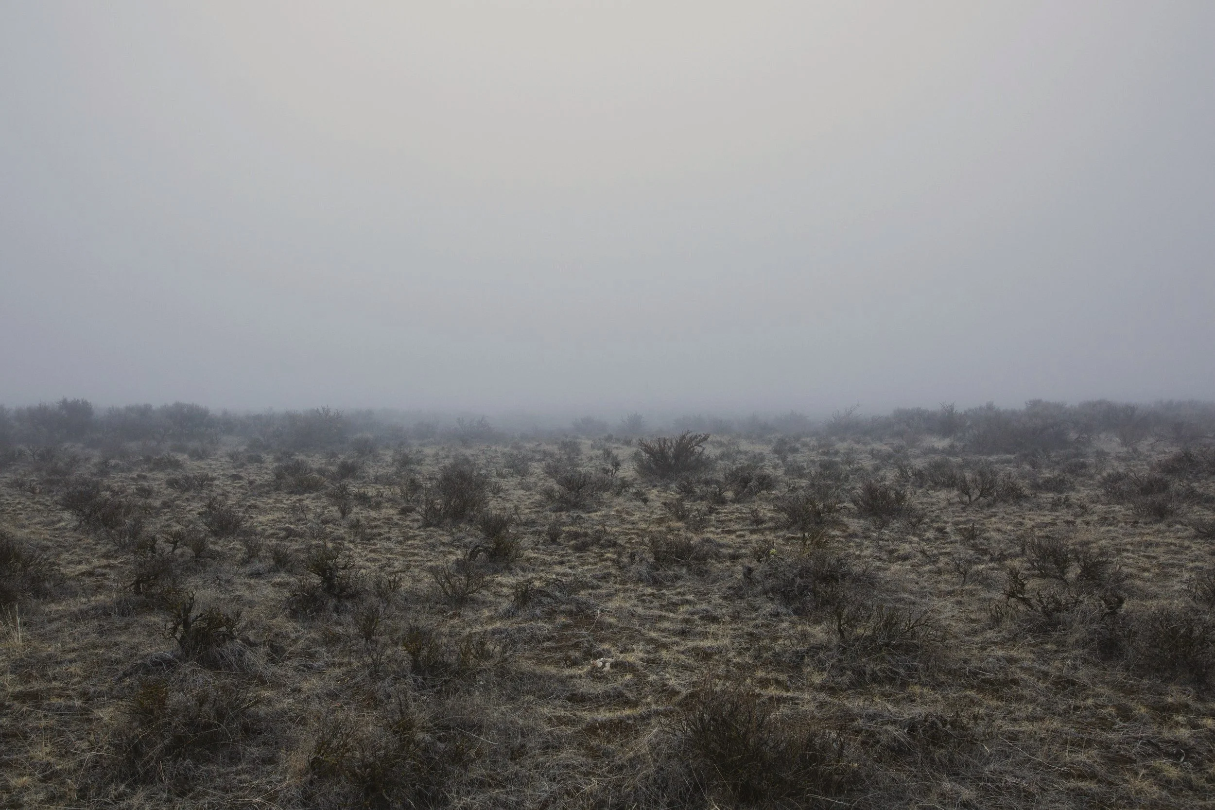 CC+Fog-20.jpg