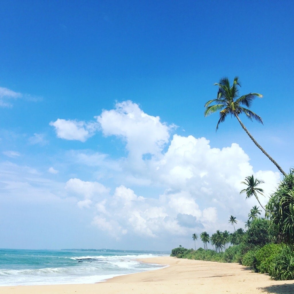 Sri lanka Rekawa beach sen wellness.jpg