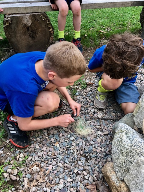 Skill Building: Starting Fire