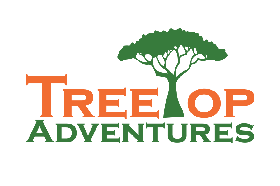 Tree Top Adventures