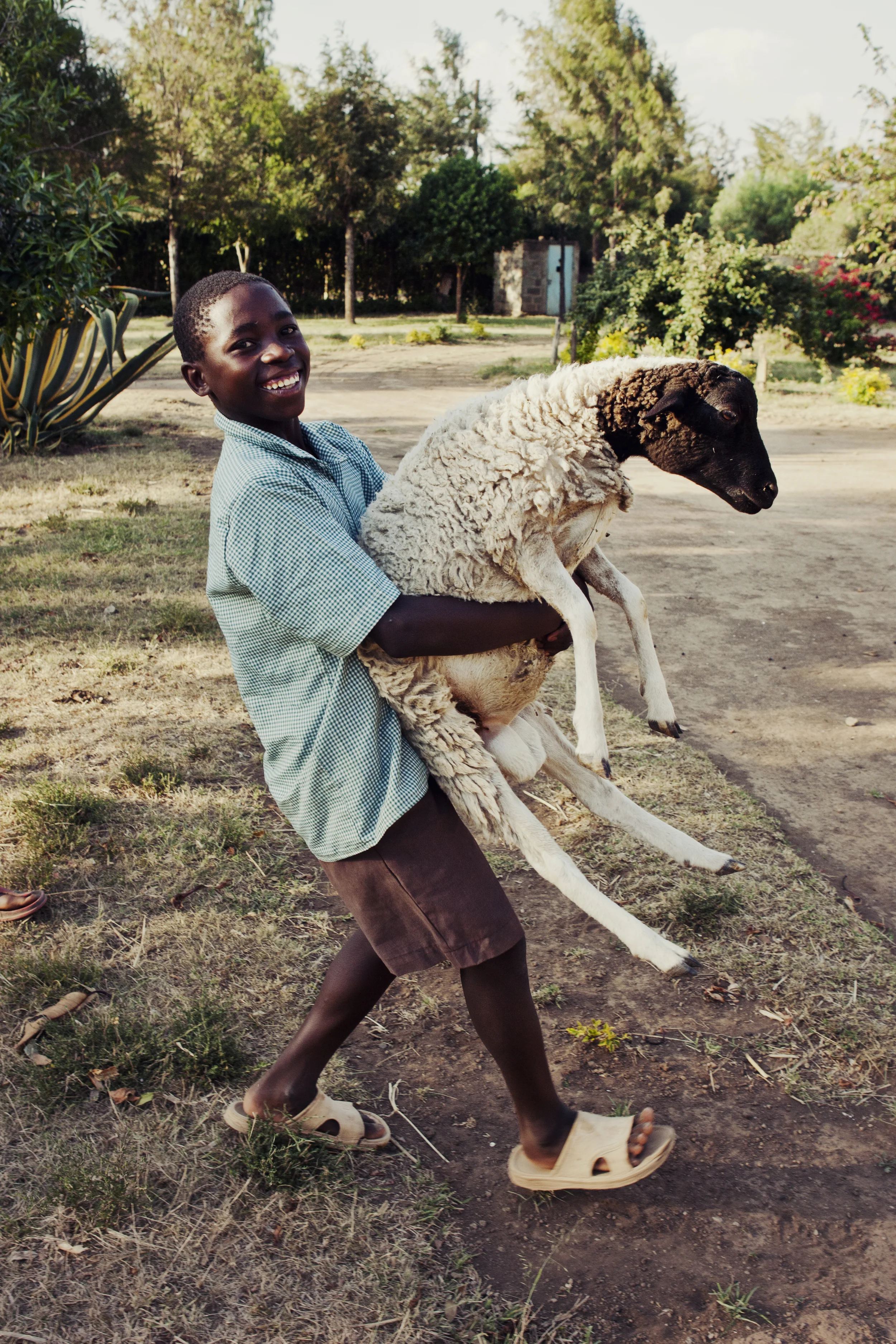 africa3-2.jpg