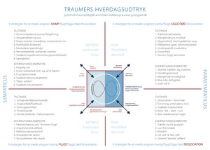 Traumers_hverdagsudtryk_poster.jpg