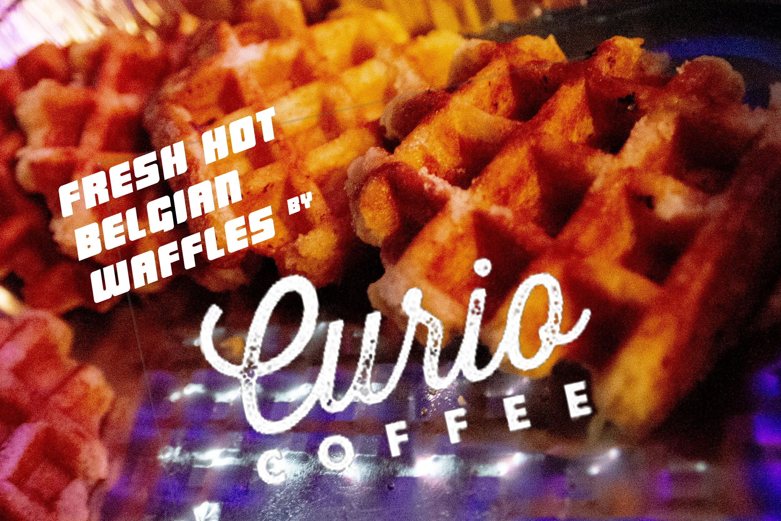 curio.jpg