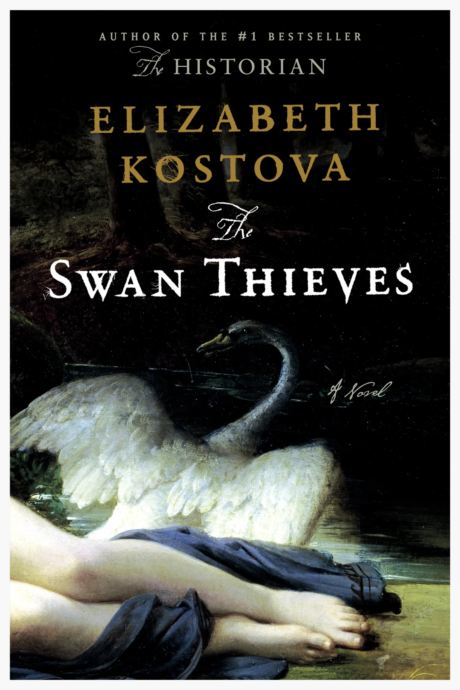 kostova_the_swan_thieves.jpg