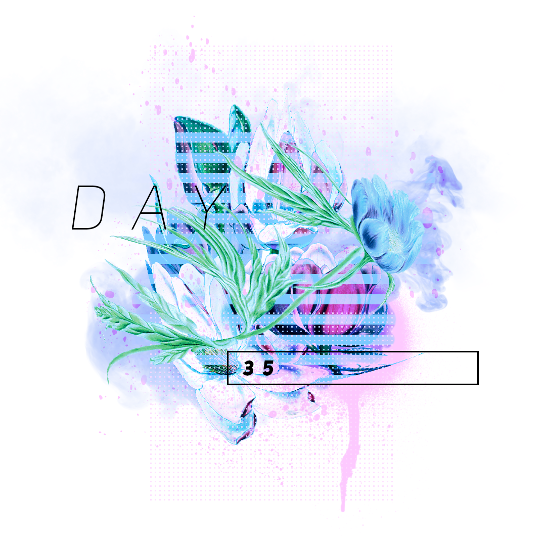 Day35.png