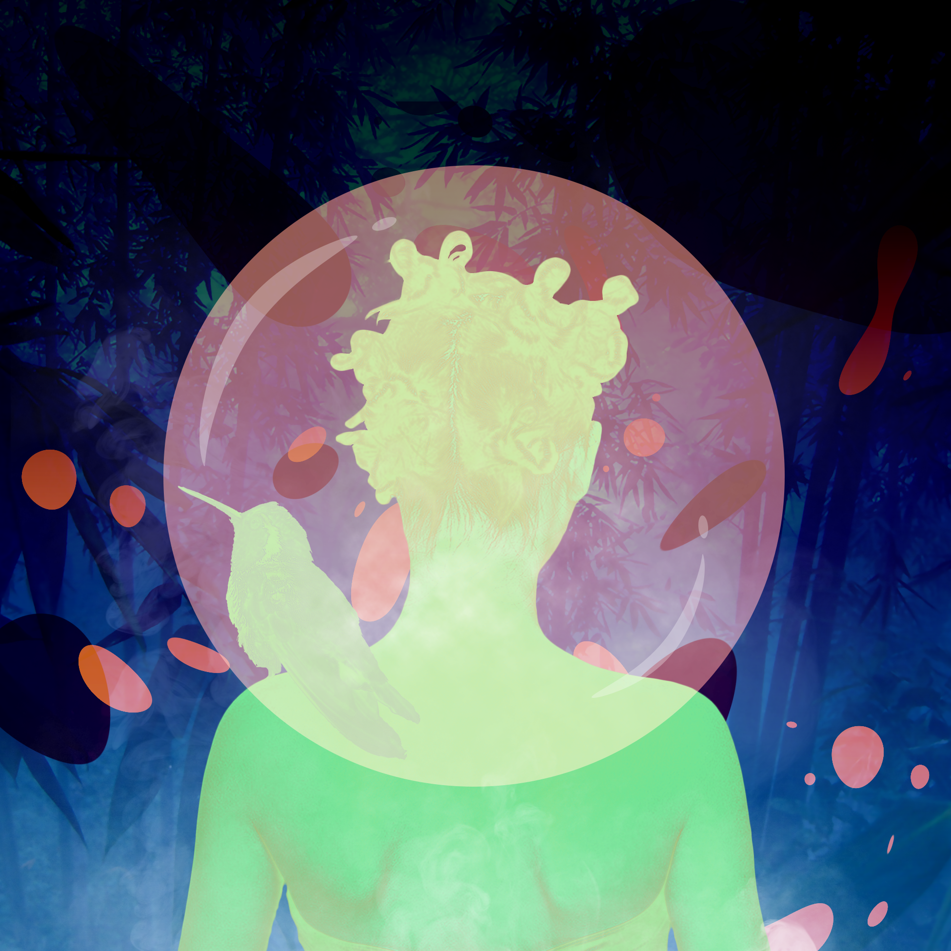 Day62.png