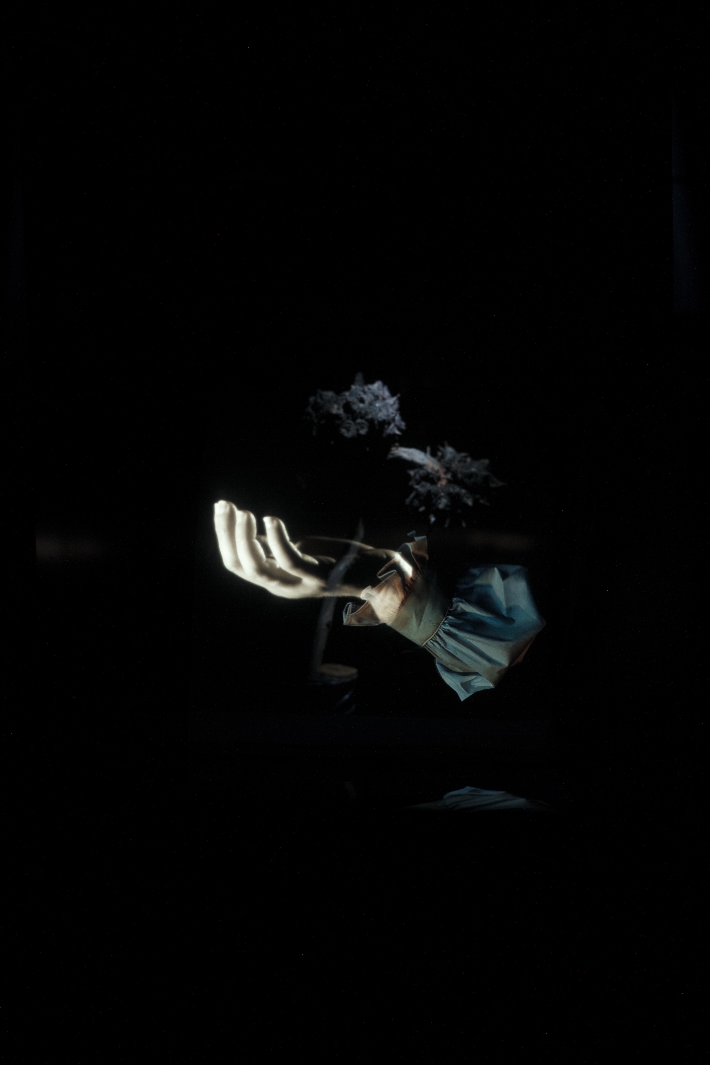 Hologram Small.jpeg