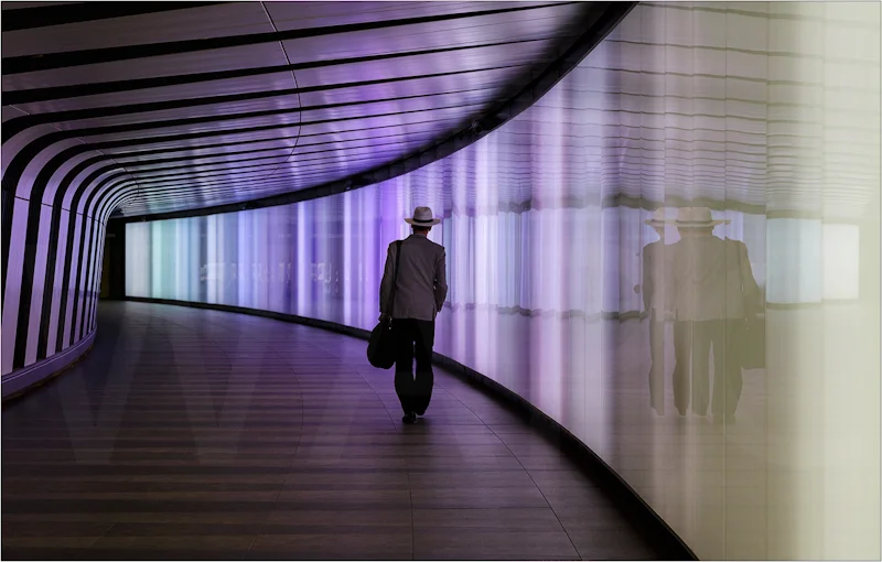 The Traveller by Janet Griffiths - C