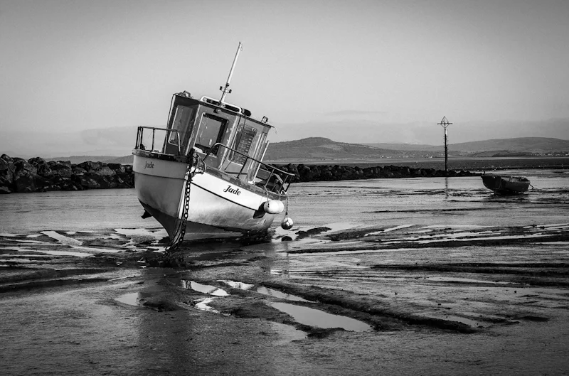 Jade at Rest by John Sweetland-First