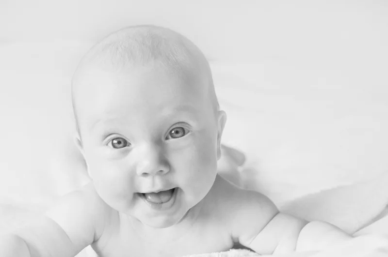 Wide Awake by Audrey Price-Highly commended