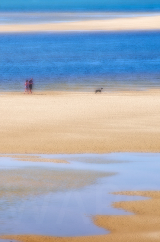 The Look Out by Chris Lewis-Commended