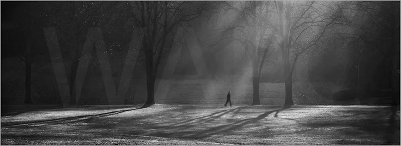 A Walk in the Park by Janet Griffiths