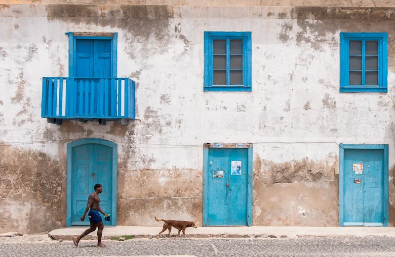 Walking the Dog by John Sweetland