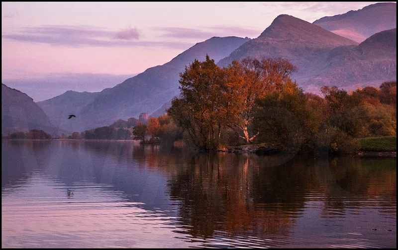 Evening Light at Llyn Padarn by Ian Griffiths - C (Int col)