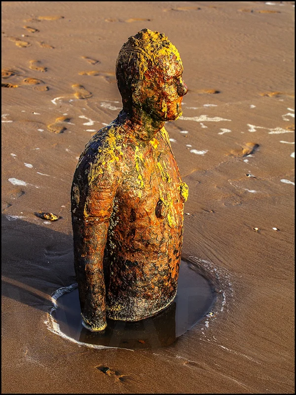 That Sinking Feeling by Ian Griffiths - C (Int col)