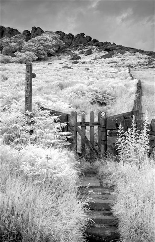  Pathway to the Roaches by Tony Thomas - C (adv mono) 