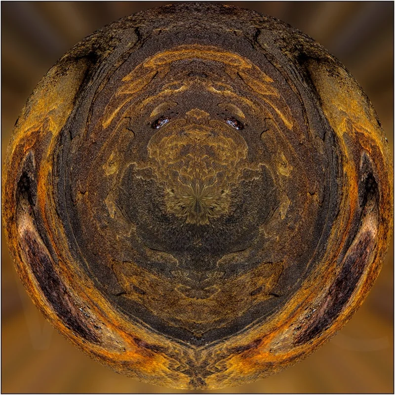 I Am the Walrus by Ian Griffiths - C (int)