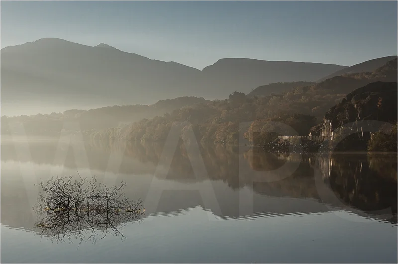 Early Morning Mist by Janet Griffiths - C (adv col)