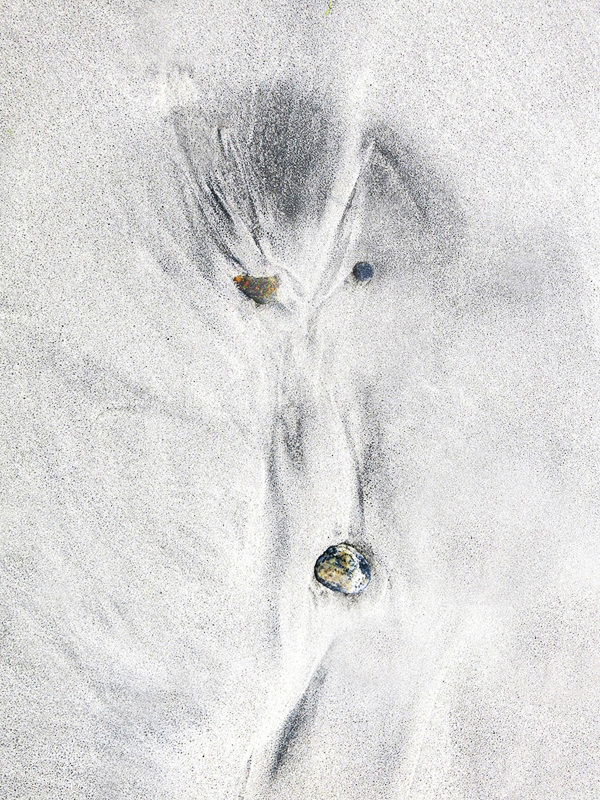 A Face in the Sand by Peter Rees - HC (adv col)