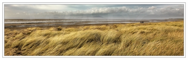 Windswept by Janet Griffiths - 2nd (adv col)
